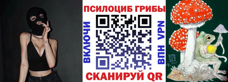 Псилоцибиновые грибы GOLDEN TEACHER  наркотики  Камышлов 